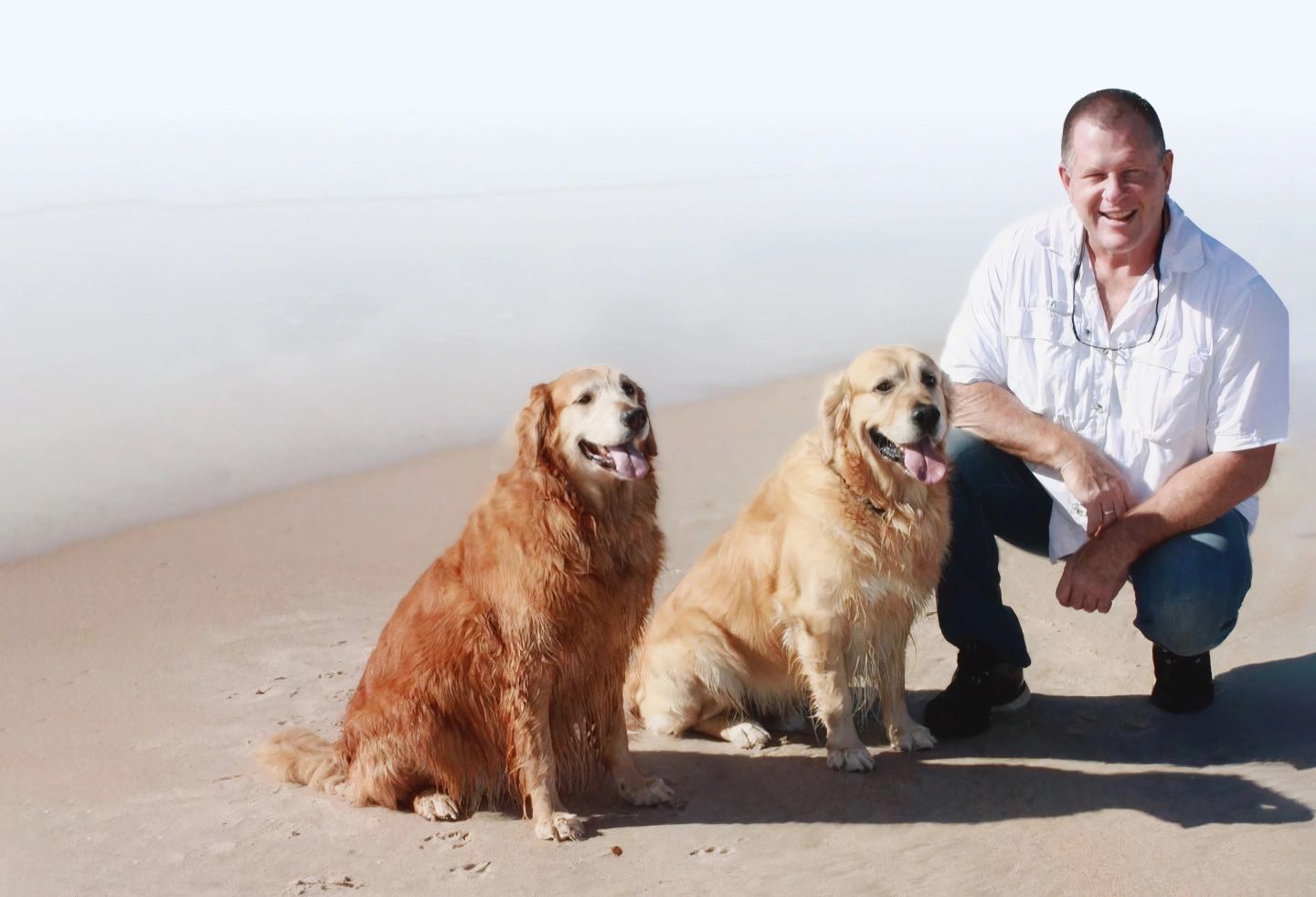 Bed and Biscuits Boarding, Dog Training, Off Leash K9 Training